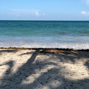 Meet your Posher, Ash